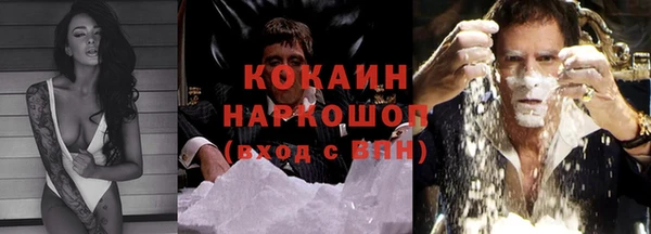 гашик Аркадак