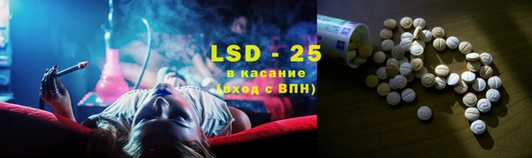 гашик Аркадак