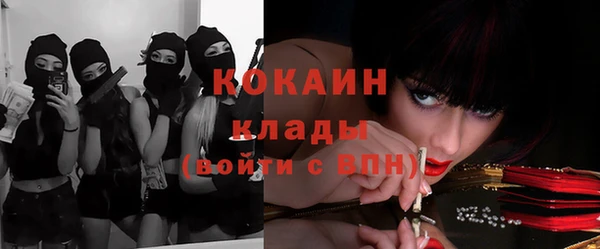 гашик Аркадак