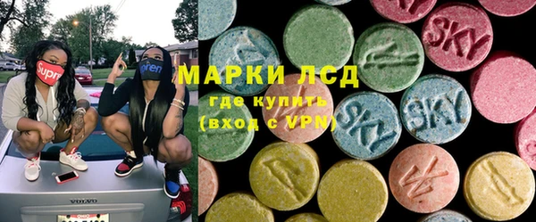 гашик Аркадак
