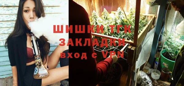 прущая мука Арсеньев