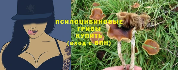PSILOCYBIN Армянск