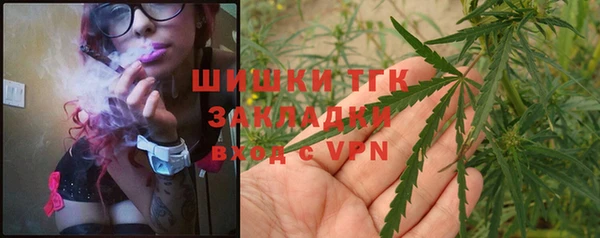гашик Аркадак