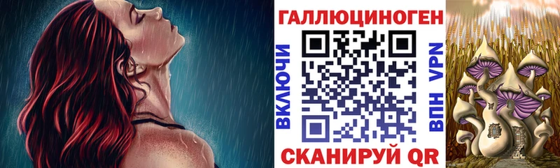 Галлюциногенные грибы MAGIC MUSHROOMS  где продают наркотики  Усмань 